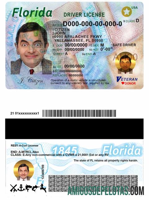 Carteira de motorista dos EUA na Flórida exemplo real